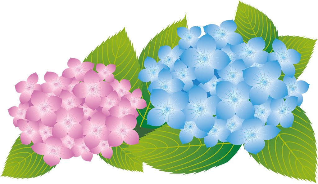 株式会社 桜華