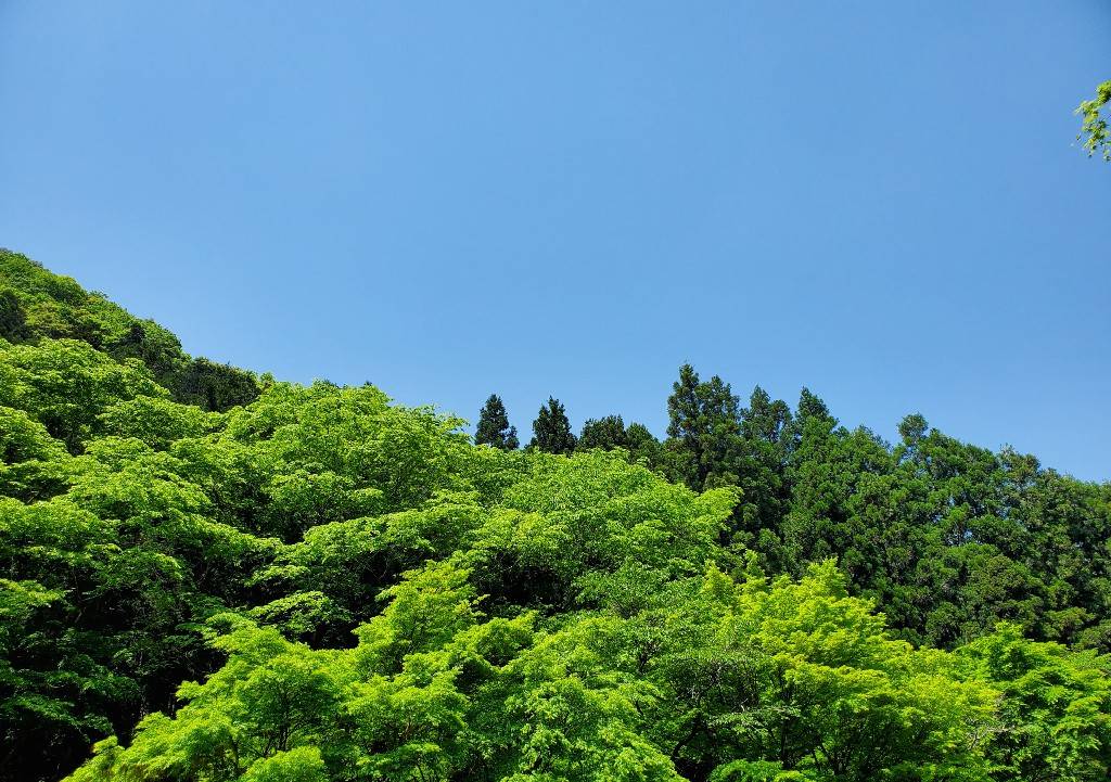 東京都 あきる野市