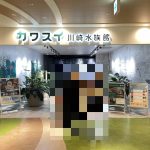 川崎水族館　カワスイ