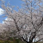 株式会社桜華　栃木県　茨城県