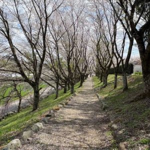 株式会社桜華　栃木県　茨城県