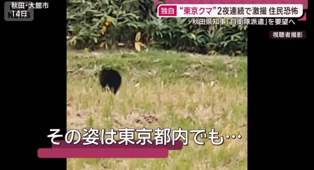 東京都 日の出町 熊