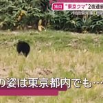 東京都 日の出町 熊