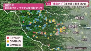 東京都 日の出町 熊