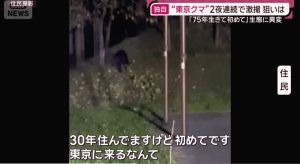 東京都 日の出町 熊