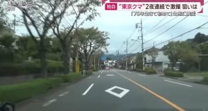 東京都 日の出町 熊