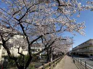 株式会社　桜華